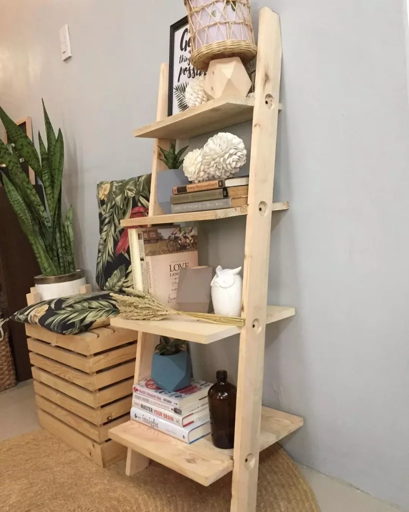 Decorative Ladder Shelf