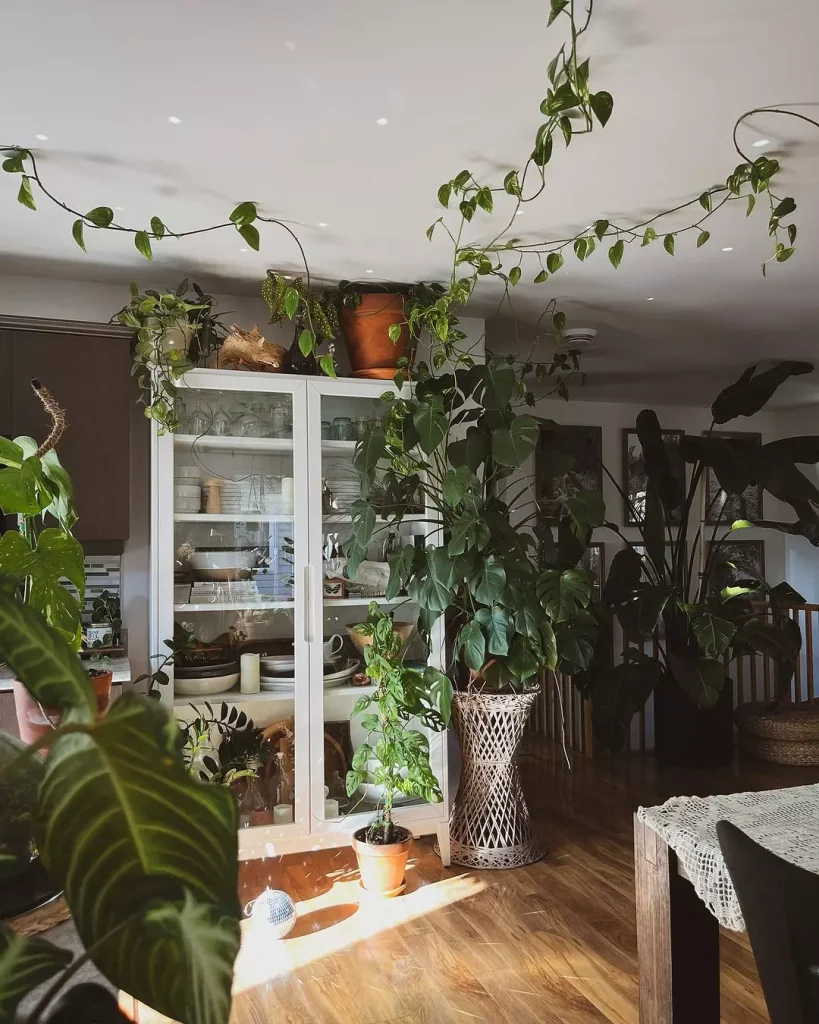 Green Accents for Natural Division