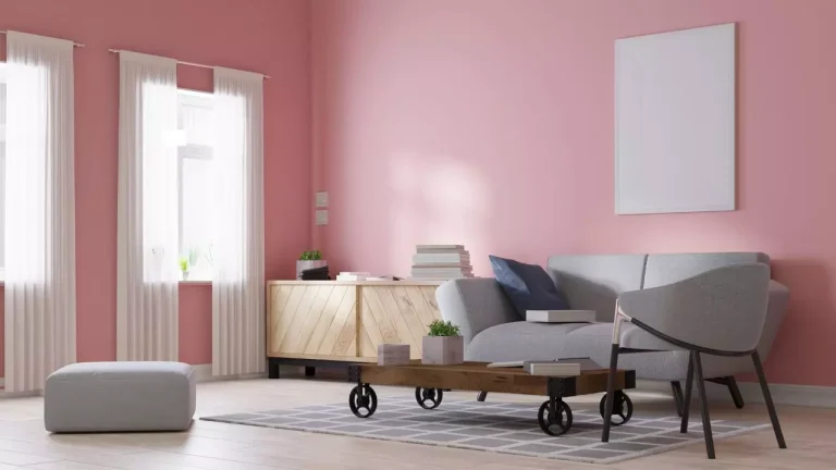 Pink Living Room Ideas