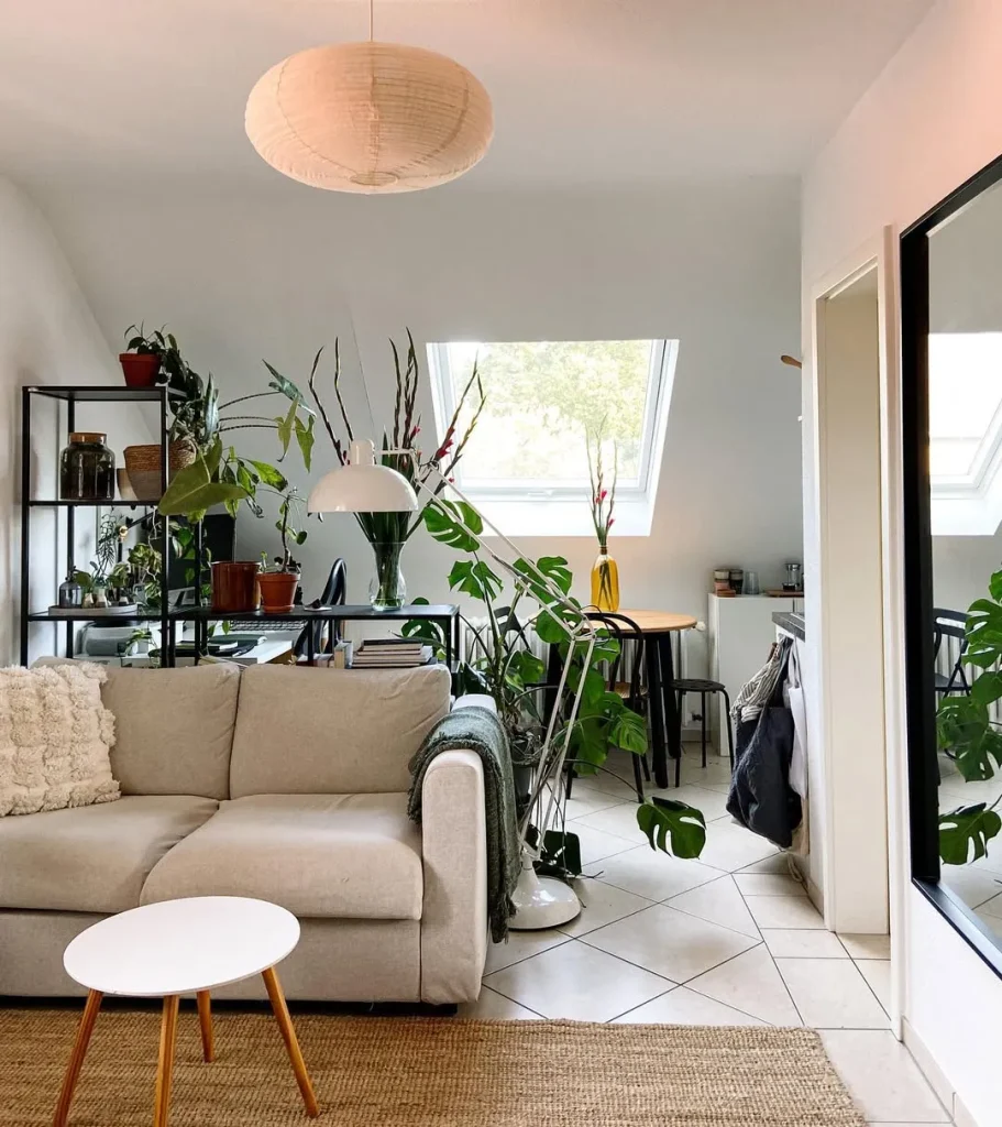 Incorporate Plants as Dividers