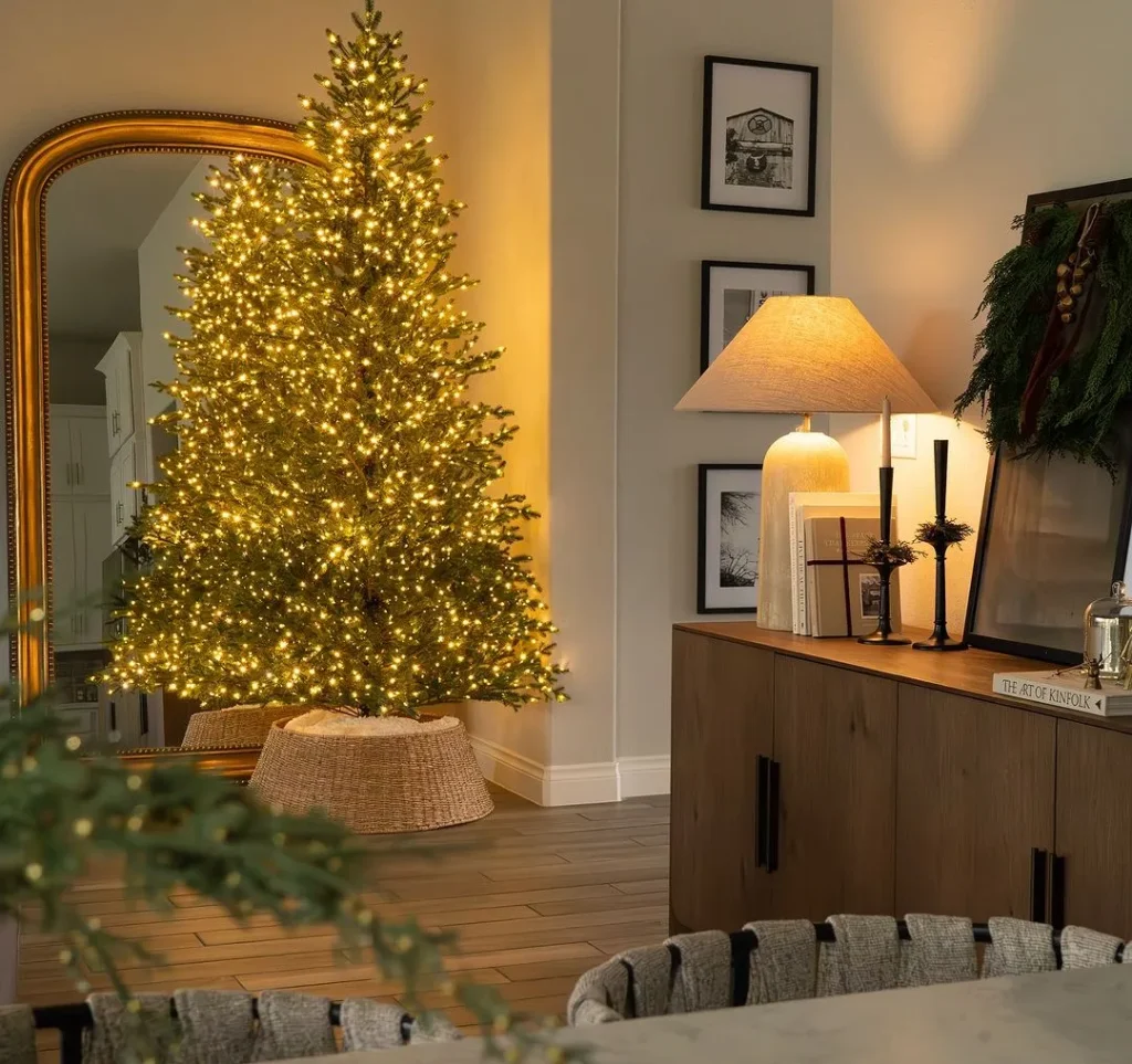 Lights, Lights, Lights!