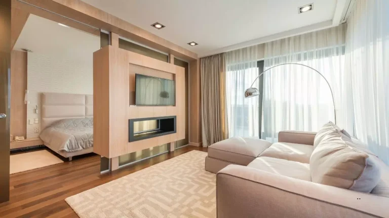Living Room-Bedroom Combo Ideas