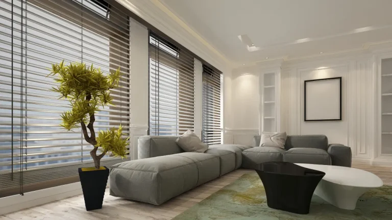 Living Room Blinds Ideas