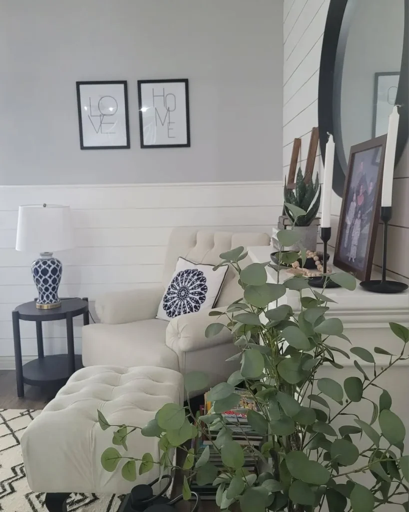 Shiplap Panels
