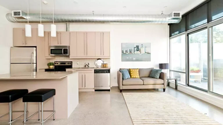 Small Kitchen Living Room Combo Ideas