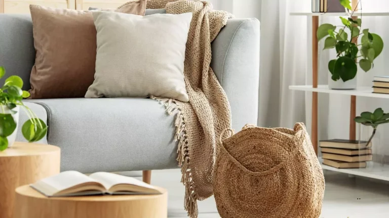 Tan Couch Living Room Ideas
