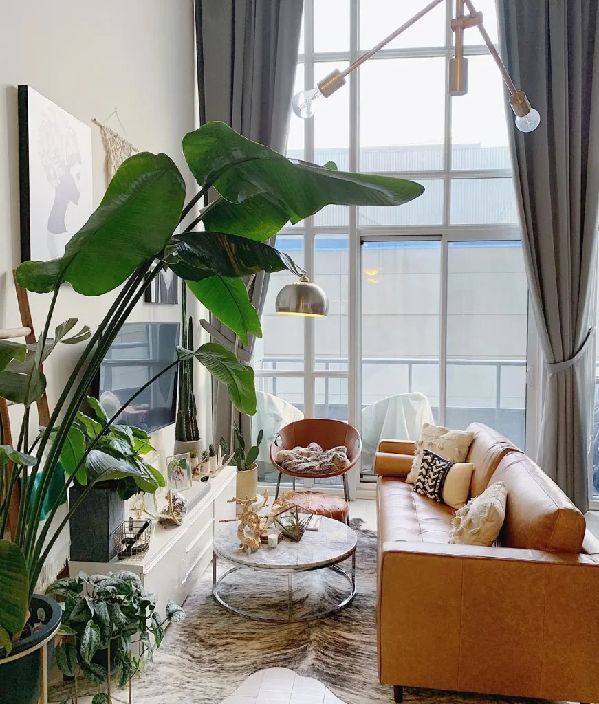 Add Pops of Greenery