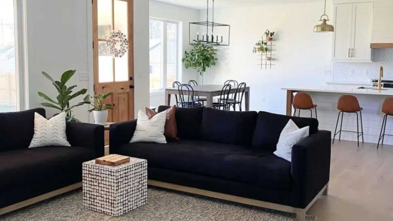 Black Couch Living Room Designs
