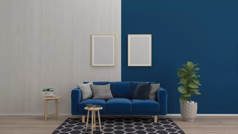 Blue Couch Living Room Ideas