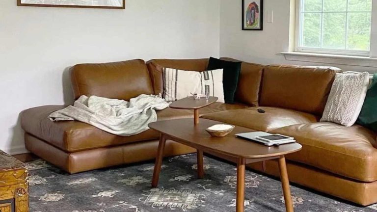 Brown Couch Living Room Designs