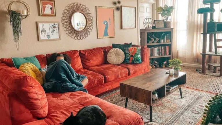 Burgundy Couch Living Room Designs