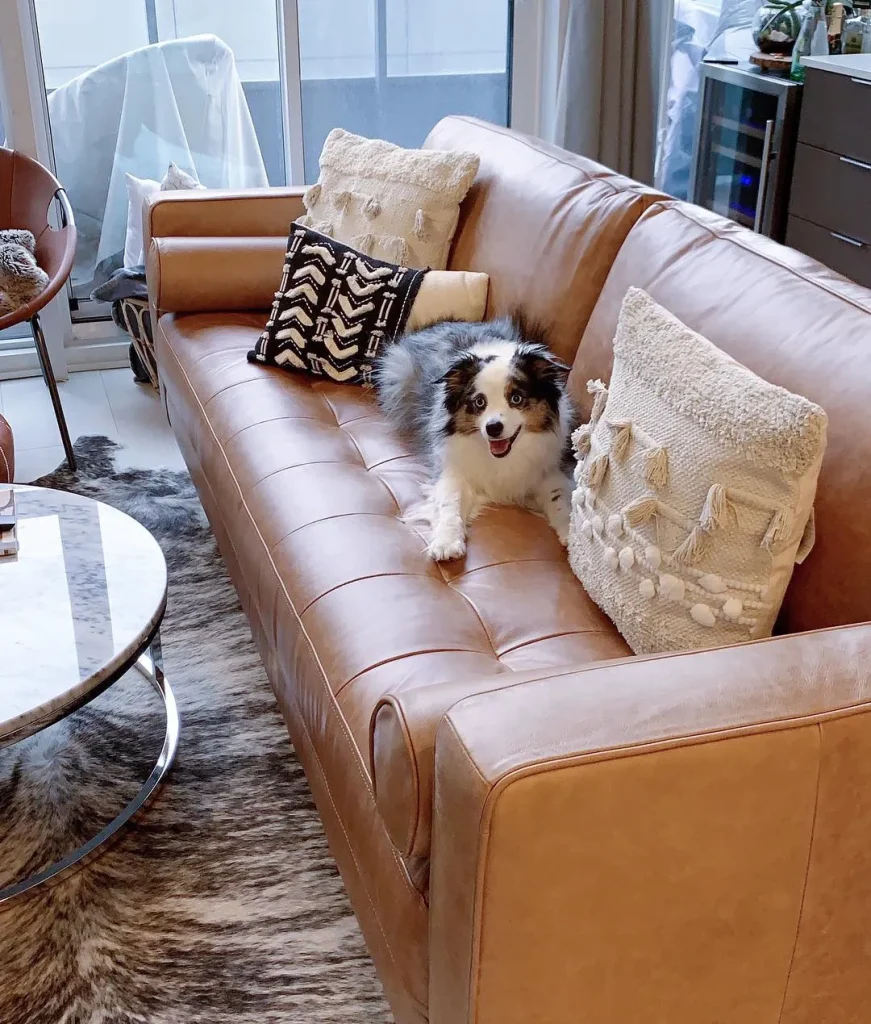 Layer with Throw Blankets and Pillows