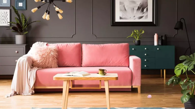 Pink Couch Living Room Ideas