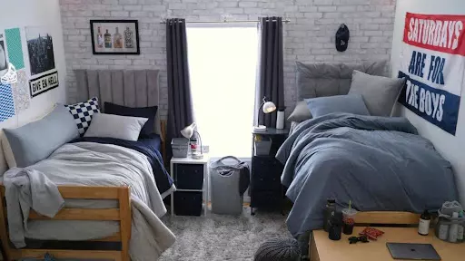 Express Through Bedding & Rugs (2)