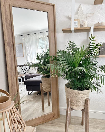 Mirror to Expand the Space