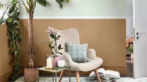 Indoor Plants for Serenity