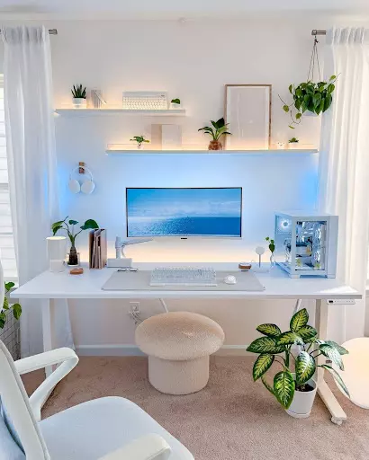 Wall-Mounted Shelves for Styling and Storage